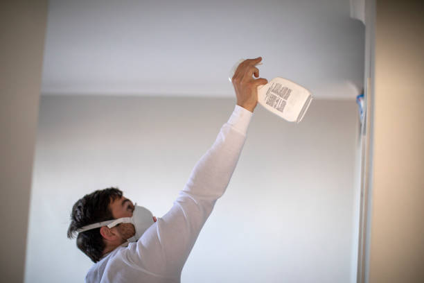 Best Attic Mold Remediation in Rmichael, CA
